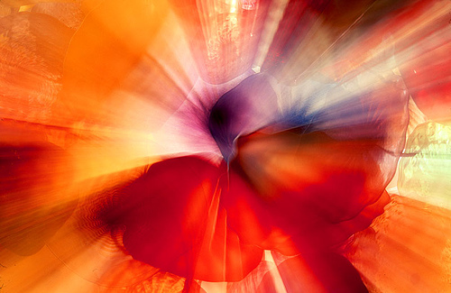Explosion Of Colours Explosion of colurs