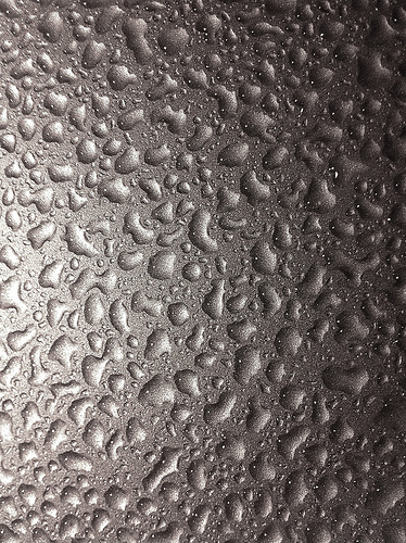 8082174702_f413006a10