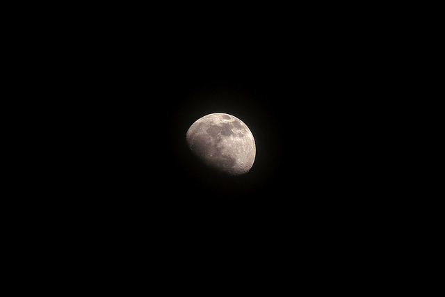 SONY DSC