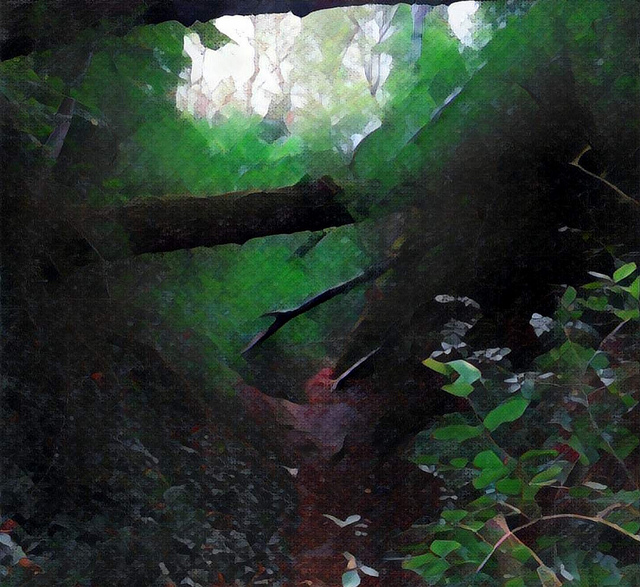 Bosque en Burgos