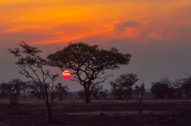 Serengeti sunset